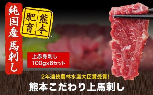 馬刺し 上赤身 ブロック 国産 熊本肥育 冷凍 生食用 たれ付き(10ml×6袋) 100g×6セット 肉 期間限定 絶品 牛肉よりヘルシー 馬肉 予約 平成27年28年 農林水産大臣賞受賞 熊本県氷川町《1月中旬-3月末頃出荷》