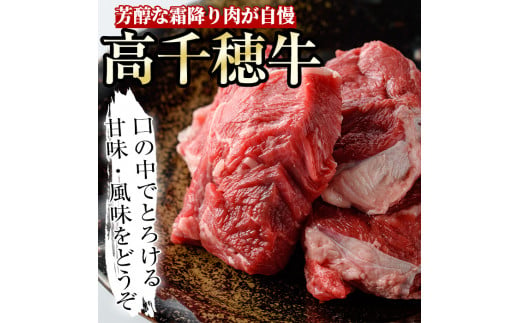 高千穂牛 すね肉(計800g・400g×2P)国産 宮崎県産 宮崎牛 牛肉  スネ肉 煮込み料理 霜降り A4 和牛 ブランド牛【MT003】【JAみやざき 高千穂牛ミートセンター】