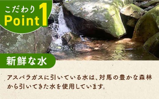 【先行予約】訳あり！朝採れアスパラガス2kg 【3月中旬以降順次発送】《対馬市》【農家くんのアスパラファーム】  冷蔵 アスパラ とれたて 新鮮 野菜　産地直送 [WCT002]