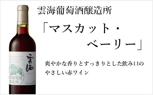 雲海 葡萄酒 醸造所 ワイン 鶏 ささみ くんせい セット おつまみ 飲み比べ 甘口 白 辛口 赤 スモーク 燻製 （02-120）