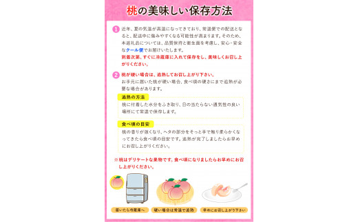 桃 【2025年先行予約】 岡山の桃 約1kg (3～5玉)《2025年6月下旬-9月上旬頃出荷》岡山県 矢掛町