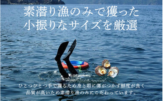 大人気☆ 若狭湾の素潜り 天然 サザエ 約8～12個 約700g (350g × 2P)  活サザエをそのままボイルしました！【サザエ さざえ 貝 海産物 刺身 お造り 海の幸 BBQ つぼ焼き 壺焼き 佃煮 砂抜き済 冷凍】[m17-a050]