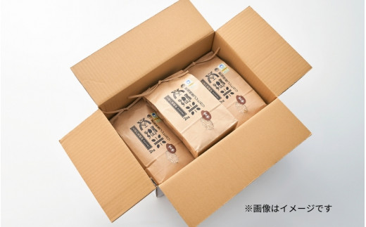 【令和6年産新米】 〈12回定期便〉 特別栽培米コシヒカリ 「南郷米」 玄米6kg（2kg×3袋）新潟県 五泉市 有限会社ファームみなみの郷