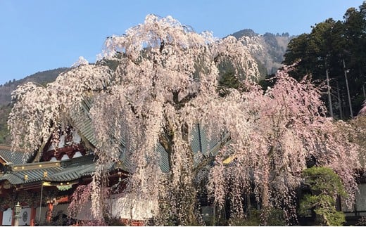 田中屋旅館1泊2食付き　ペア宿泊券 [№5530-0169]