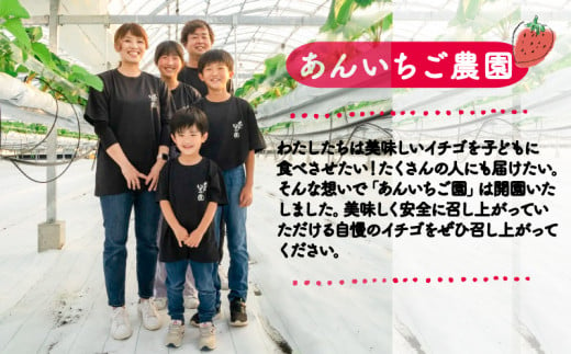 いちご 1kg 紅ほっぺ あまえくぼ 食べ比べ セット ( 2025年 1月 以降 発送予定 )  4パック 朝採れ 期間限定 人気 果物 フルーツ 新鮮 旬 冬 春 ケーキ ショートケーキ デザート ギフト 贈り物 贈答 イチゴ 苺 ストロベリー 徳島県 吉野川市 あんいちご園