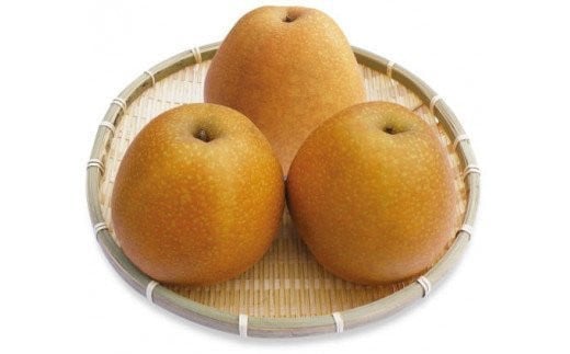 鳥取県産 王秋梨(おうしゅう）5kg: 全農とっとり JAタウン店