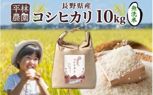 令和6年産 コシヒカリ 無洗米 10kg×1袋 長野県産 米 白米 精米 お米 ごはん ライス 甘み 農家直送 産直 信州 人気 ギフト 時短 お取り寄せ 平林農園 送料無料 長野県 大町市