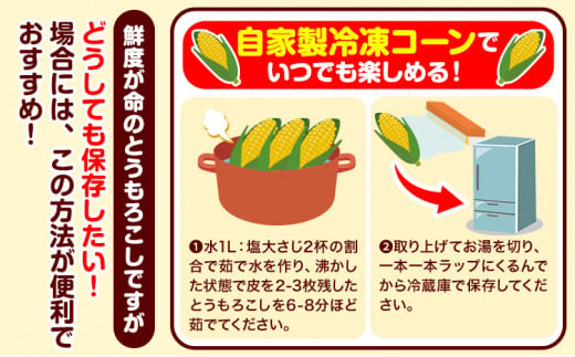 朝採れ直送！ とうもろこし おおもの 甘い 約5kg 13本入 2Lサイズ 七戸宏大《8月上旬-8月中旬頃出荷》岩手県 九戸村 トウモロコシ 5kg スイートコーン 新鮮 冷蔵 送料無料