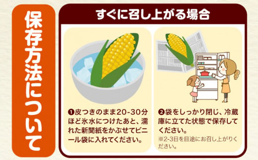 朝採れ直送！ とうもろこし おおもの 甘い 約5kg 13本入 2Lサイズ 七戸宏大《8月上旬-8月中旬頃出荷》岩手県 九戸村 トウモロコシ 5kg スイートコーン 新鮮 冷蔵 送料無料