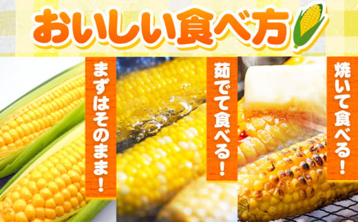 朝採れ直送！ とうもろこし おおもの 甘い 約5kg 13本入 2Lサイズ 七戸宏大《8月上旬-8月中旬頃出荷》岩手県 九戸村 トウモロコシ 5kg スイートコーン 新鮮 冷蔵 送料無料