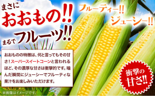 朝採れ直送！ とうもろこし おおもの 甘い 約5kg 13本入 2Lサイズ 七戸宏大《8月上旬-8月中旬頃出荷》岩手県 九戸村 トウモロコシ 5kg スイートコーン 新鮮 冷蔵 送料無料