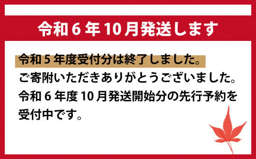 本数・大きさなどはイメージです。