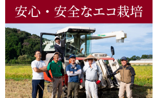 【令和6年産 新米】福井県産コシヒカリ「千石」 10kg