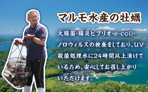 ※数量限定 【居酒屋 チェーン店で採用】 九十九島 真牡蠣 冷凍 ハーフシェル 10個×2P 長崎県/マルモ水産 [42ABAJ001]  むき身 カキフライ 殻付き 生食用 長崎 小分け