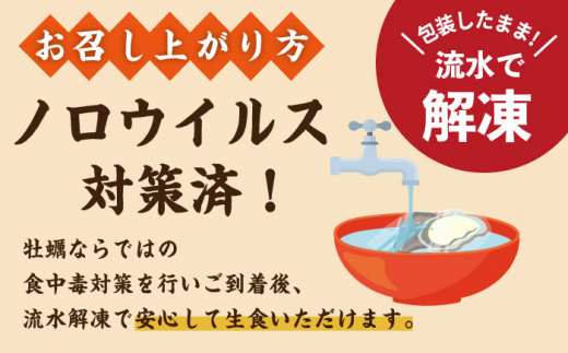 ※数量限定 【居酒屋 チェーン店で採用】 九十九島 真牡蠣 冷凍 ハーフシェル 10個×2P 長崎県/マルモ水産 [42ABAJ001]  むき身 カキフライ 殻付き 生食用 長崎 小分け