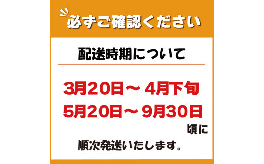  アスパラガス 1kg 訳あり朝採れ 野菜 新鮮 阿波市 徳島県