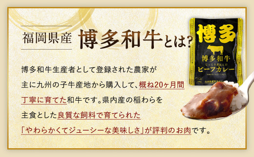 【福岡県産博多和牛使用】 博多和牛 じっくり煮込んだビーフカレー レトルト 7人前