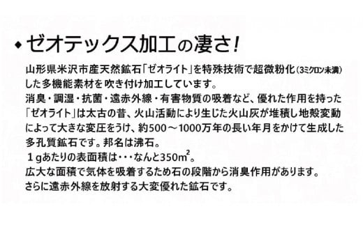 ゼオテックス ジュータン 【生命の樹】2.5帖用（ ベージュ ） 200cm×200cm インテリア じゅうたん 絨毯 カーペット  抗菌 消臭 シルキーリビング