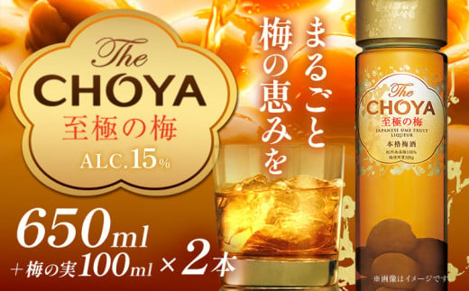 The CHOYA 至極の梅 650ml × 2本 羽曳野商工振興株式会社《60日以内に出荷予定(土日祝除く)》大阪府 羽曳野市 送料無料 梅酒 梅 酒 CHOYA チョーヤ チョーヤ梅酒 お酒 紀州 南高梅