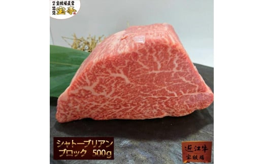 ◆【宝牧場】近江牛シャトーブリアンかたまり500ｇ