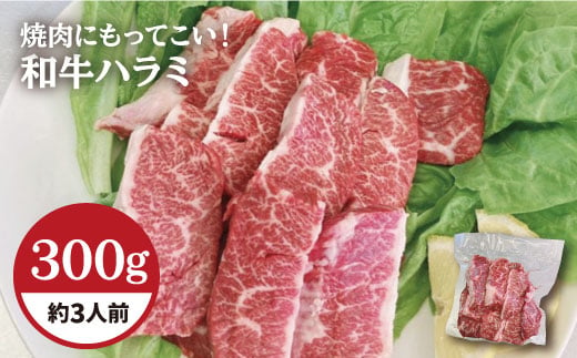 【味付】ホルモン専門店の和牛ハラミ300g （約3人前）【三田川ホルモン専門店】吉野ヶ里町 [FAC014]