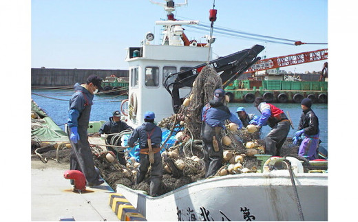 北海道産 山漬 約2.5kg 山漬 鮭 サケ さけ 