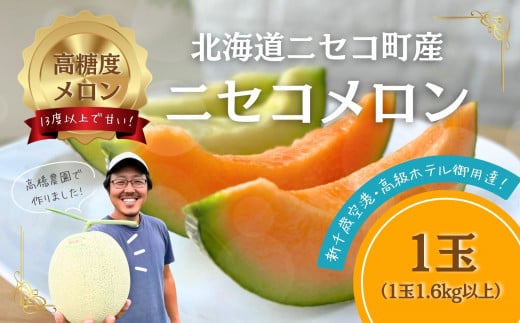 《2025年分受付中》糖度13度以上!市場には出回らない北海道ニセコメロン1玉（1.6kg以上）/高橋農園【37001】