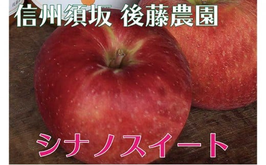 [No.5657-2395]産地直送シナノスイート約5kg（10～18玉）《後藤農園》■2022年発送■※10月上旬頃～11月上旬頃まで順次発送予定