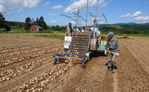 北海道 蘭越産 じゃがいも 食べ比べ5種類セット 合計約4kg （各800g）