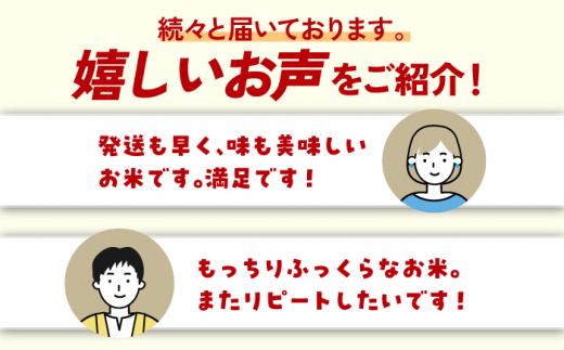 〈受付一時停止中〉【令和5年産】無洗米 さがびより 4kg（2kg×2袋）吉野ヶ里町/増田米穀[FBM039]