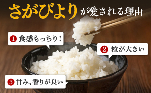 〈受付一時停止中〉【令和5年産】無洗米 さがびより 4kg（2kg×2袋）吉野ヶ里町/増田米穀[FBM039]