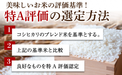 〈受付一時停止中〉【令和5年産】無洗米 さがびより 4kg（2kg×2袋）吉野ヶ里町/増田米穀[FBM039]