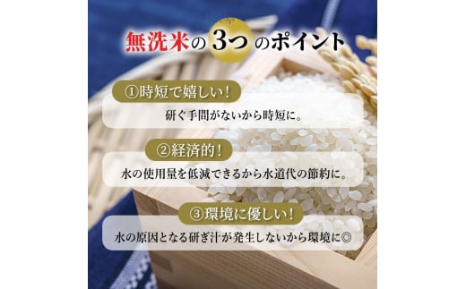 6ヵ月連続お届け　銀山米研究会の無洗米＜ゆめぴりか＞5kg【機内食に採用】