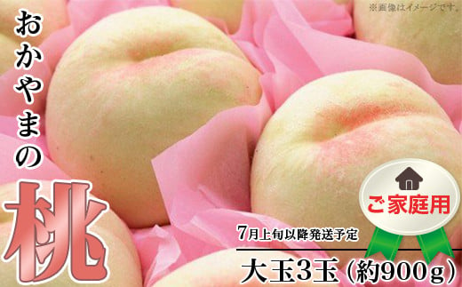 【ご家庭用】おかやまの桃 大玉3玉（約900g）