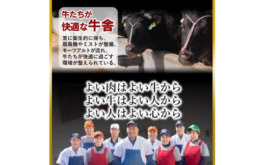 【神戸牛 牝】【７営業日以内に発送】特上 焼肉 おまかせセット（500g）（25-10）