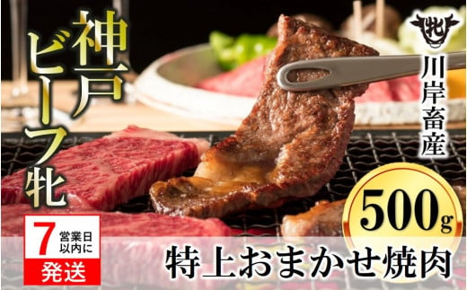 【神戸牛 牝】【７営業日以内に発送】特上 焼肉 おまかせセット（500g）（25-10）