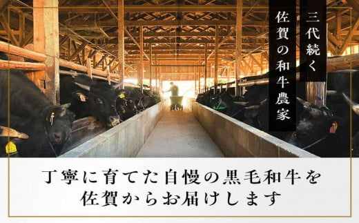 《佐賀牛》「梁井」霜降りロースステーキ 2枚 400g【佐賀牛 霜降り肉 ロース肉 サシ ステーキ 肉汁 とろける やわらか 美味しい ブランド肉】 B-C081010