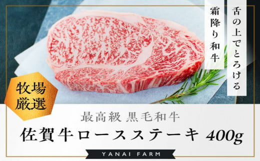 《佐賀牛》「梁井」霜降りロースステーキ 2枚 400g【佐賀牛 霜降り肉 ロース肉 サシ ステーキ 肉汁 とろける やわらか 美味しい ブランド肉】 B-C081010