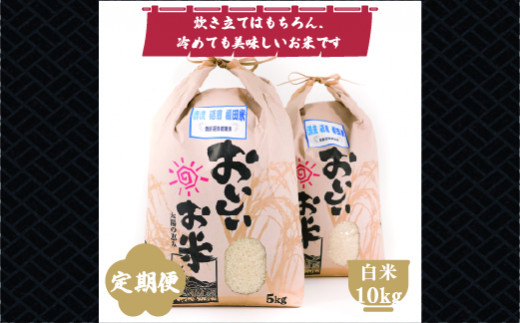 ふるさと納税　令和６年産【12ヶ月定期便】清流 砥用の棚田米 白米：10kg　ヒノヒカリ 熊本 美里町 棚田米 新米 ヒノヒカリ 熊本県 米 お米 米 こめ おこめ アウトドア キャンプ 食味コンクール 最優秀賞　熊本 美里町 定期便 ご飯 ごはん 棚田 コメ 熊本の米 おにぎり お弁当 九州１位　ひのひかり