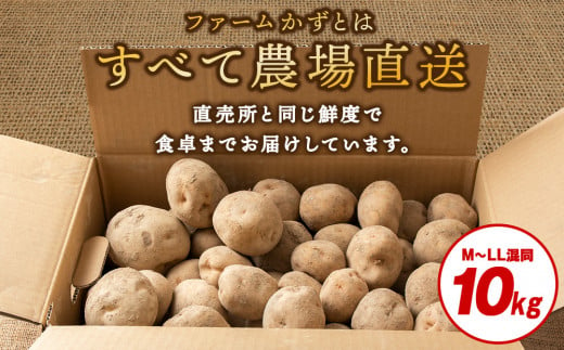 数量限定 期間限定 じゃがいも 10kg 北海道 きたあかり ジャガイモ 芋 いも