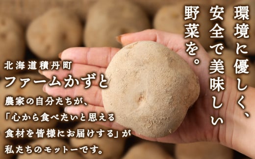 数量限定 期間限定 じゃがいも 10kg 北海道 きたあかり ジャガイモ 芋 いも