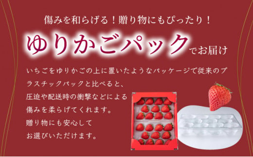  【先行予約】数量限定！あまい果汁溢れる！最高級品質”さがほのか” 約1kg（235g×4p）