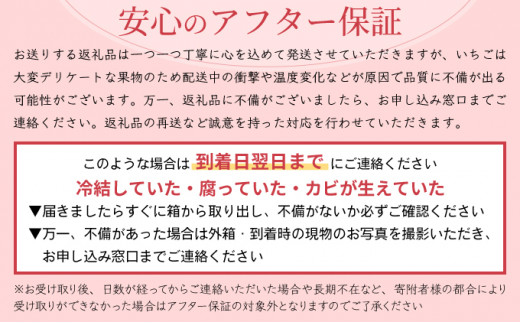  【先行予約】数量限定！あまい果汁溢れる！最高級品質”さがほのか” 約1kg（235g×4p）