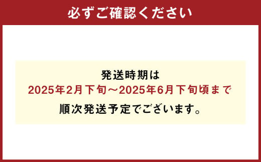 パクパクデコ 約3.5kg 訳あり 大玉