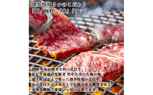 近江牛 焼肉用 盛り合わせ 400g  牛肉 霜降り 肉 国産 ブランド牛 三大和牛 和牛 黒毛和牛 贈り物 ギフト 冷凍 産地直送 神戸牛 松阪牛 に並ぶ 日本三大和牛 滋賀県 竜王町 澤井牧場