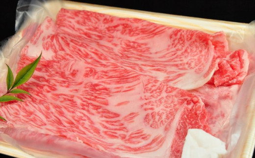 飛騨牛肩ロース・ももしゃぶしゃぶセット　各290g  【冷凍】ブランド牛 牛肉 国産 下呂温泉