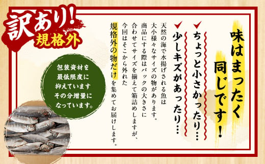 【6ヶ月定期便】【訳あり規格外】 業務用 あじ干物 1.9kg