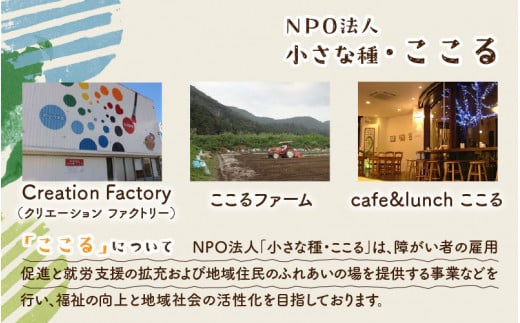 鯖江市産 原木乾燥椎茸「越のてまり」 （大・中サイズ）3パック &（小サイズ）2パック　計5パック [B-05001]