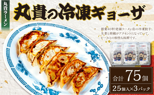 冷凍 生ギョーザ 計75個 (25個入り×3パック) 餃子 ぎょうざ ギョーザ 冷凍