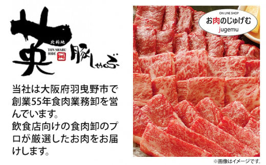 国産牛すじ300g×6パック 1.8kg 株式会社山繁うつみ商事《90日以内に出荷予定(土日祝除く)》 大阪府 羽曳野市 牛すじ 牛 すじ 肉